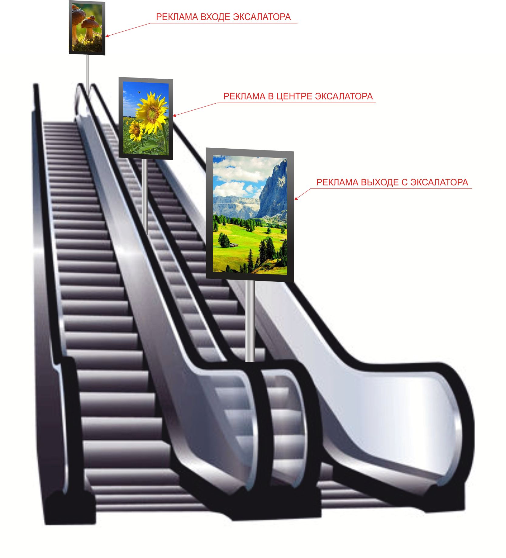 Реклама на эскалаторах